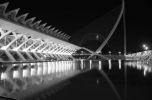 A valenciai Museu de les Ciències Principe Felipe esti fényben. Építész: Santiago Calatrava , fotó: Böröcz Sándor