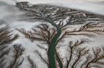Edward Burtynsty: A Colorado folyó deltája, 2011